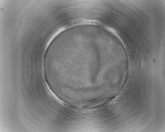 X0000054461235200508191654