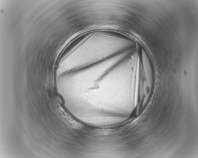 X0000054461236200508191654