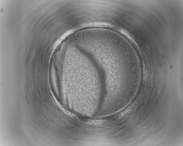 X0000054461237200508191654