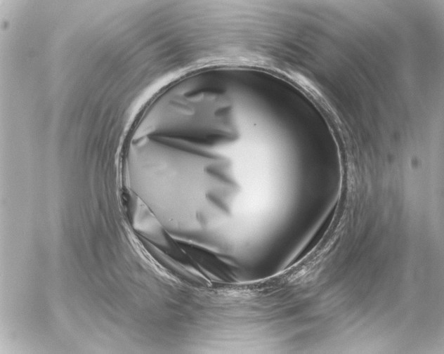 X0000054461238200508191654