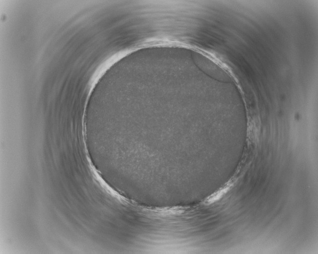 X0000054461239200508191654