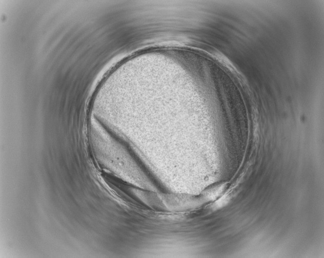 X0000054461240200508191654