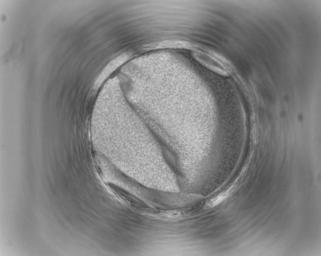 X0000054461241200508191654