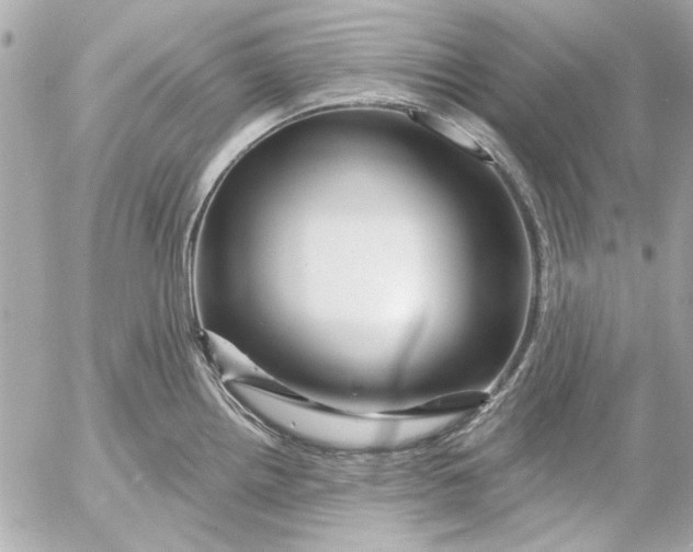 X0000054461242200508191654