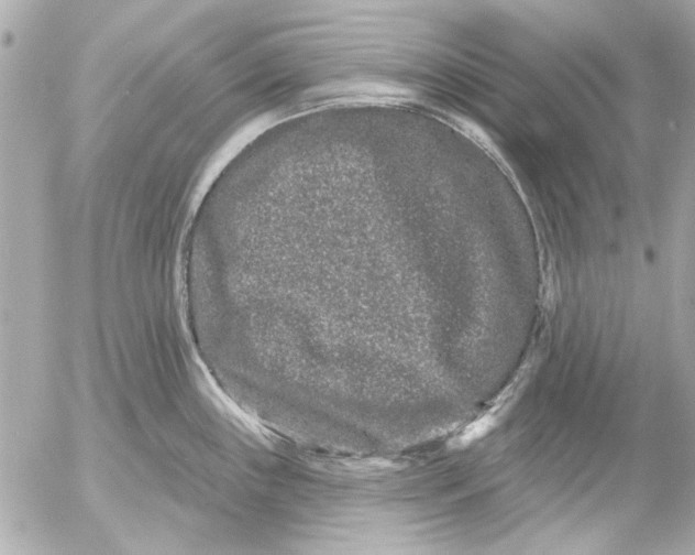 X0000054461243200508191654