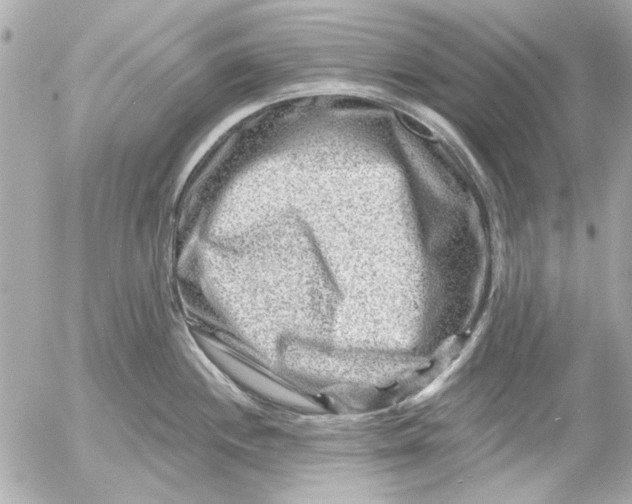 X0000054461244200508191654