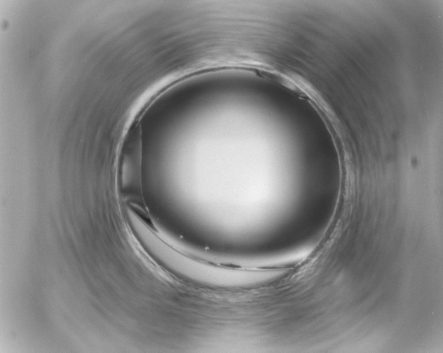 X0000054461246200508191654