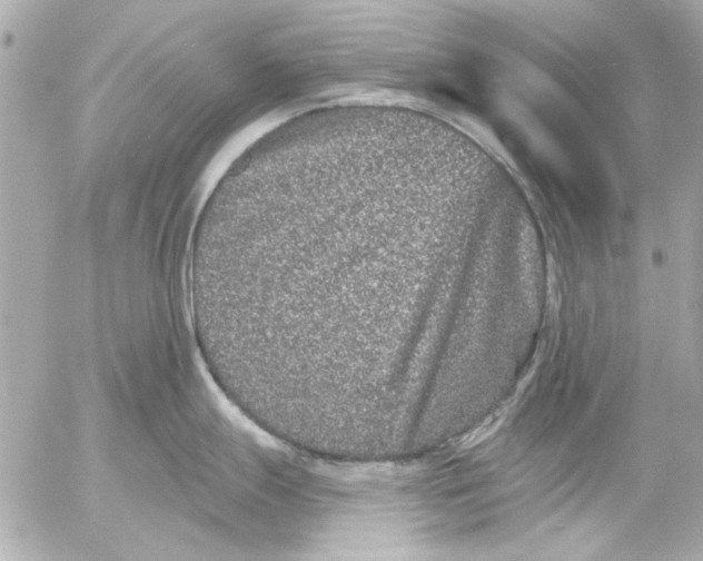 X0000054461247200508191654