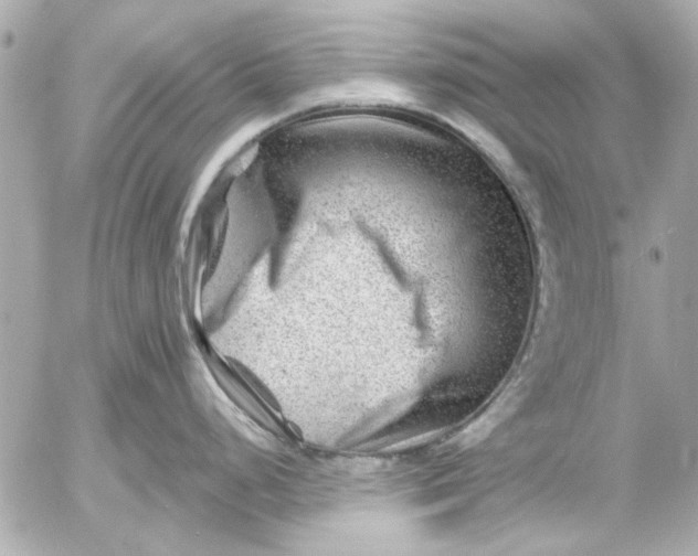 X0000054461248200508191654