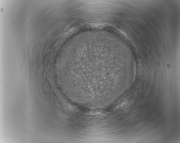 X0000054461249200508191653