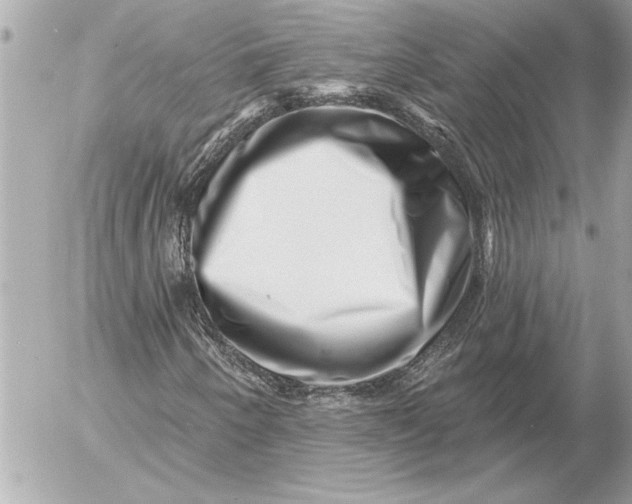 X0000054461250200508191653