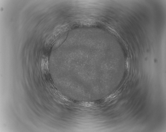 X0000054461251200508191653