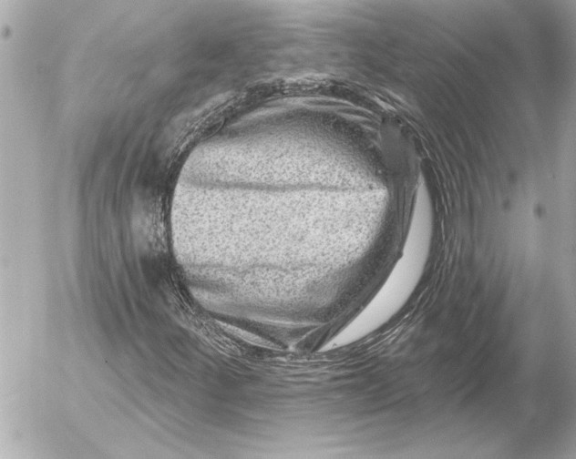 X0000054461252200508191653