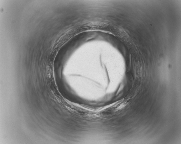 X0000054461253200508191653