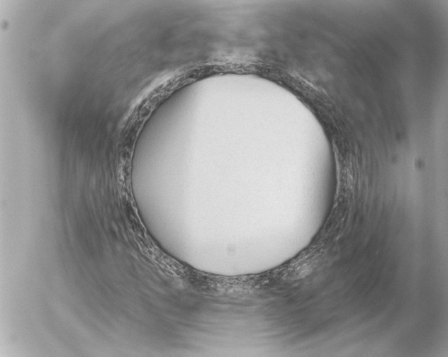 X0000054461254200508191653