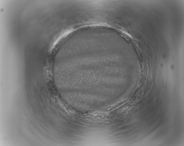 X0000054461255200508191653