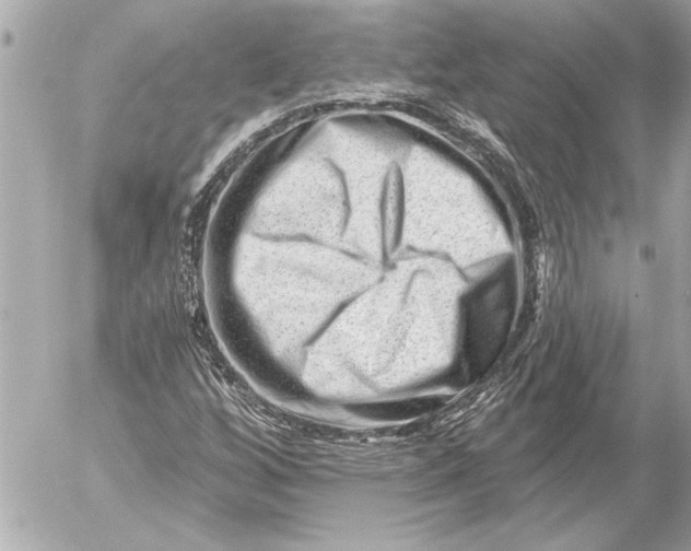 X0000054461256200508191653