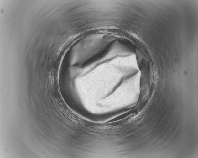 X0000054461257200508191653