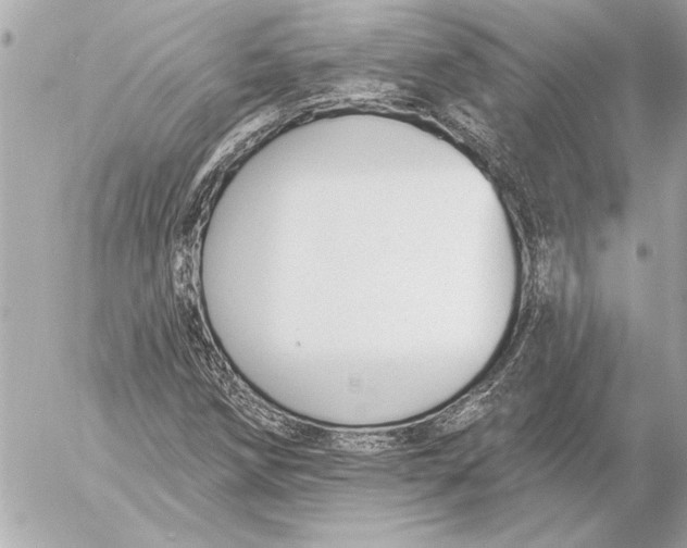 X0000054461258200508191653