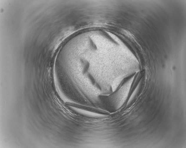 X0000054461260200508191653