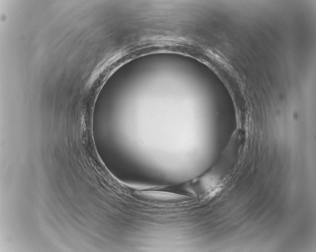 X0000054461261200508191653