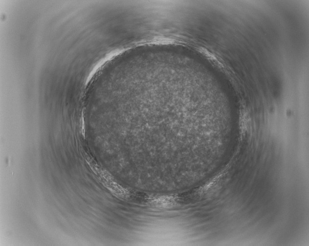 X0000054461262200508191653