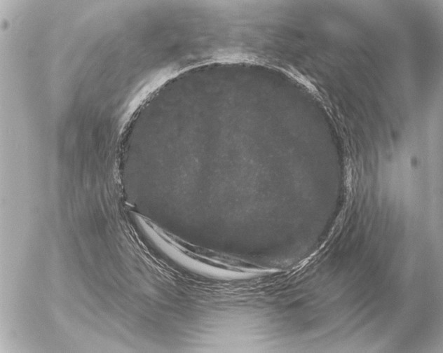 X0000054461263200508191653