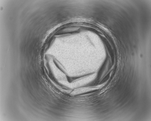 X0000054461264200508191653