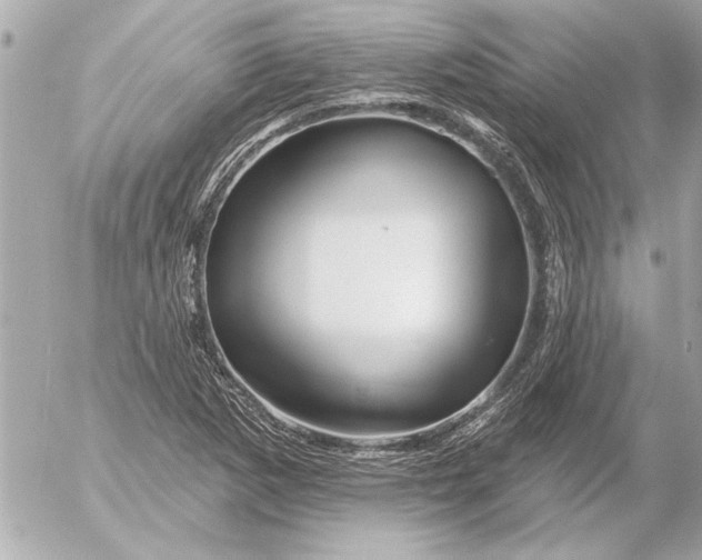 X0000054461265200508191653