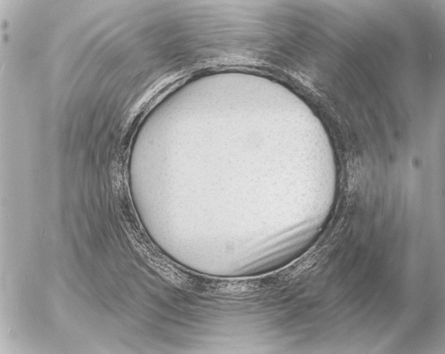 X0000054461266200508191653