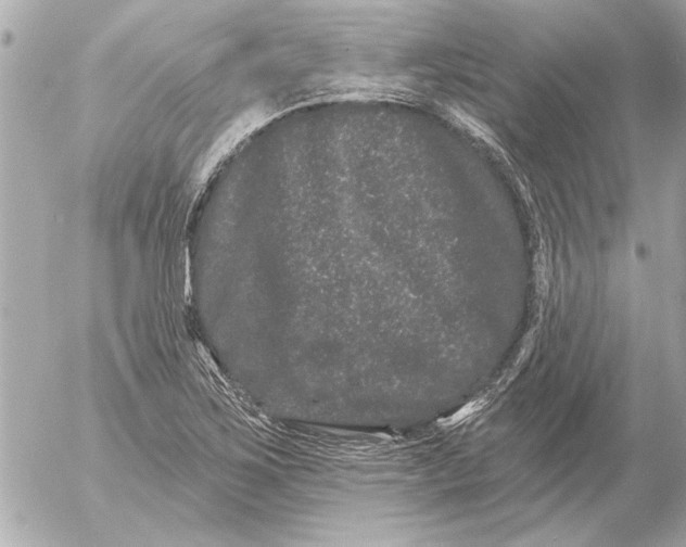 X0000054461267200508191653