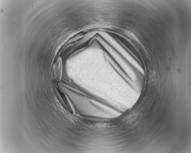 X0000054461268200508191653