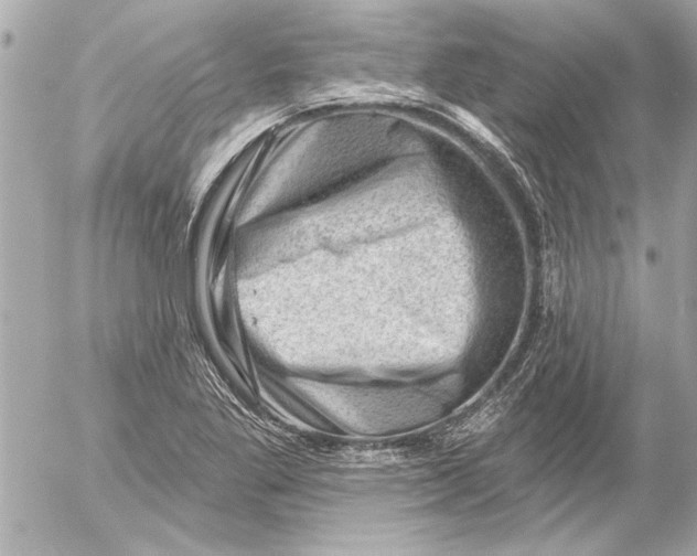 X0000054461269200508191653