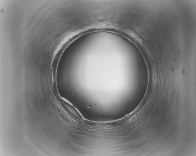 X0000054461270200508191653