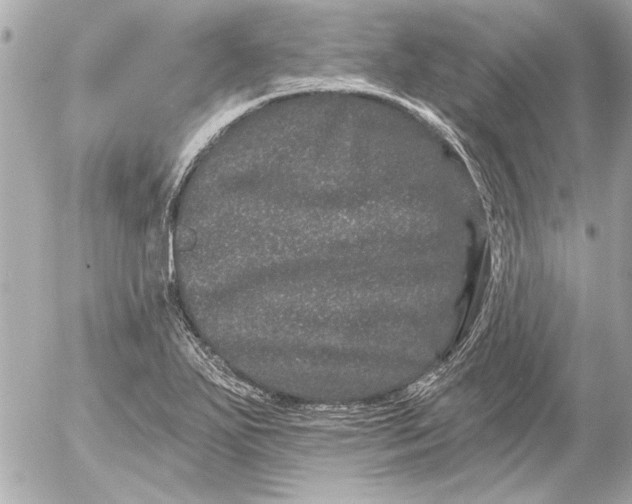 X0000054461271200508191653