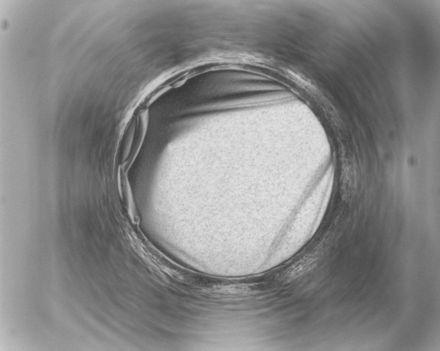 X0000054461272200508191653