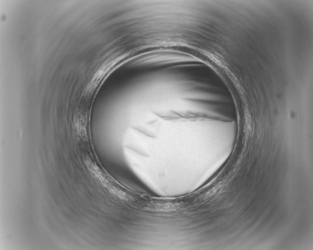 X0000054461273200508191653