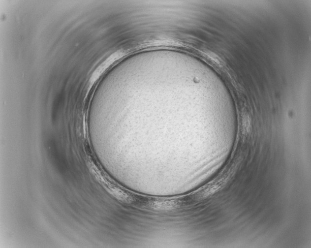 X0000054461274200508191653