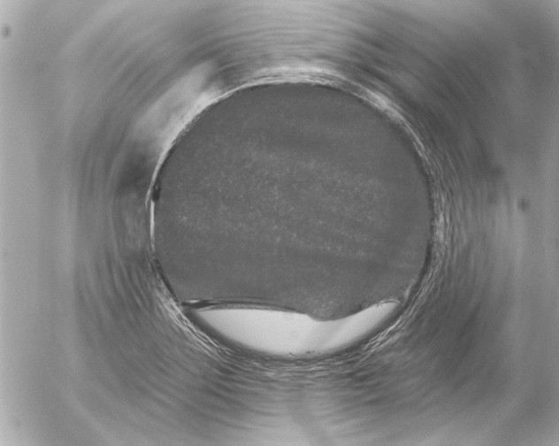 X0000054461275200508191653