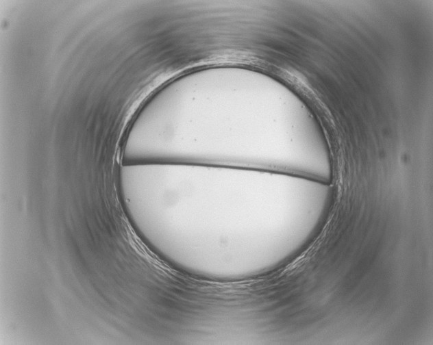 X0000054461276200508191653