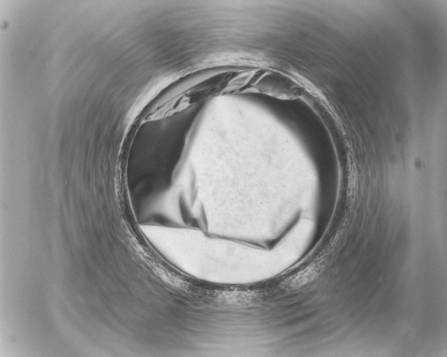 X0000054461277200508191653