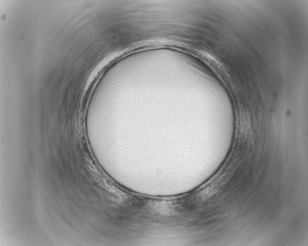 X0000054461278200508191653