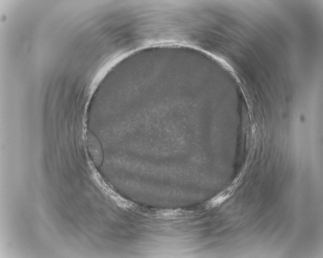 X0000054461279200508191653