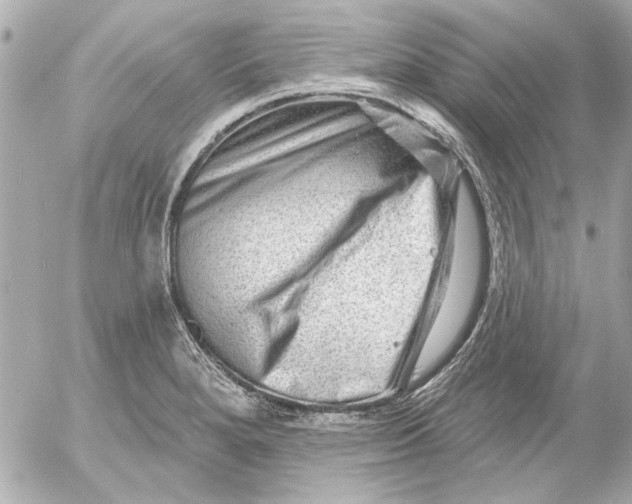 X0000054461280200508191653