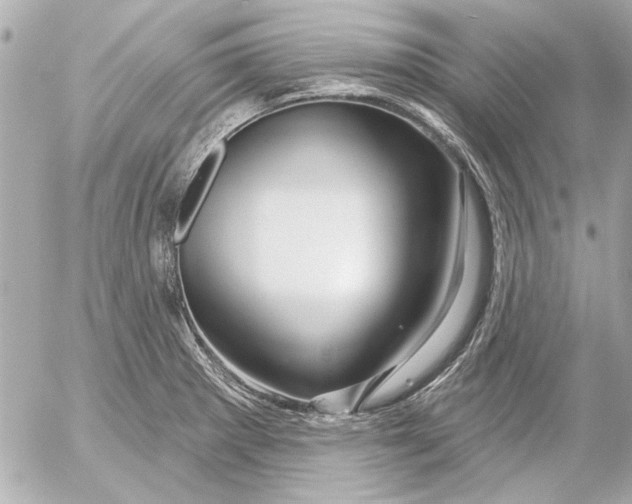 X0000054461281200508191653