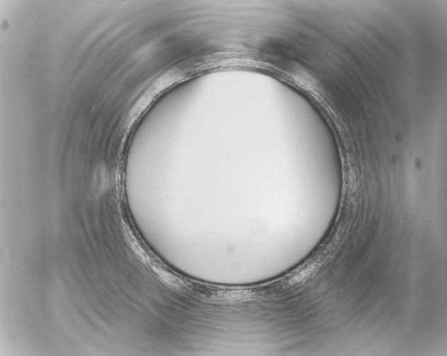 X0000054461282200508191653