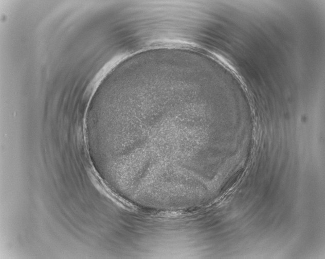 X0000054461283200508191653