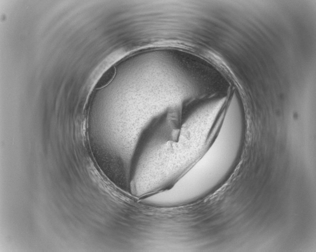 X0000054461284200508191653