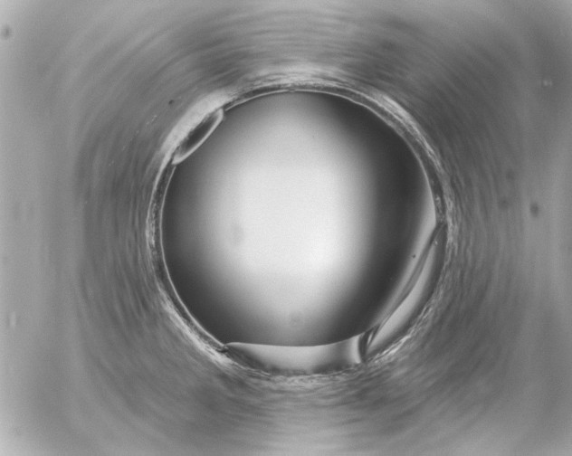 X0000054461285200508191653