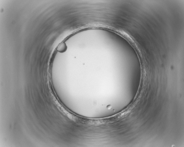 X0000054461286200508191653